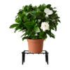 SLIMSHINE Square Iron Planter Black Stand For Indoor Or Outdoor
